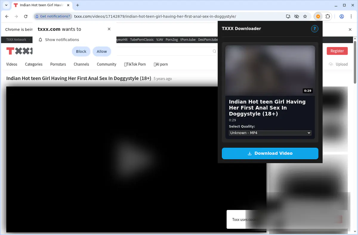 TXXX Video Downloader screenshot 4